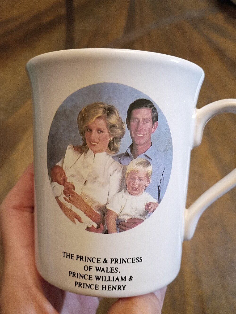 Vintage Princess Diana Prince Charles William & Harry British Made Commemorative